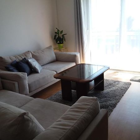 Apartment Tanya リエカ エクステリア 写真